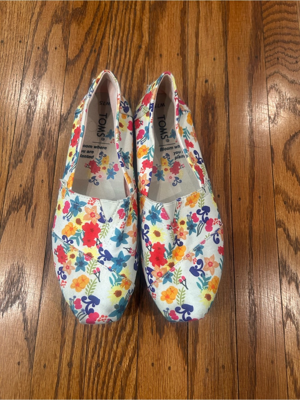 Toms Floral Canvas Slip-Ons in Cream with Multicolor Flowers